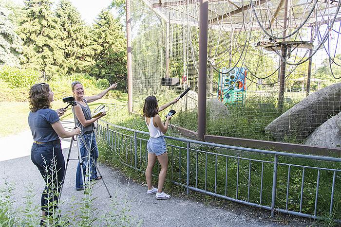 Prof. Angela Dassow and students researched the gibbons at the Racine Zoo.